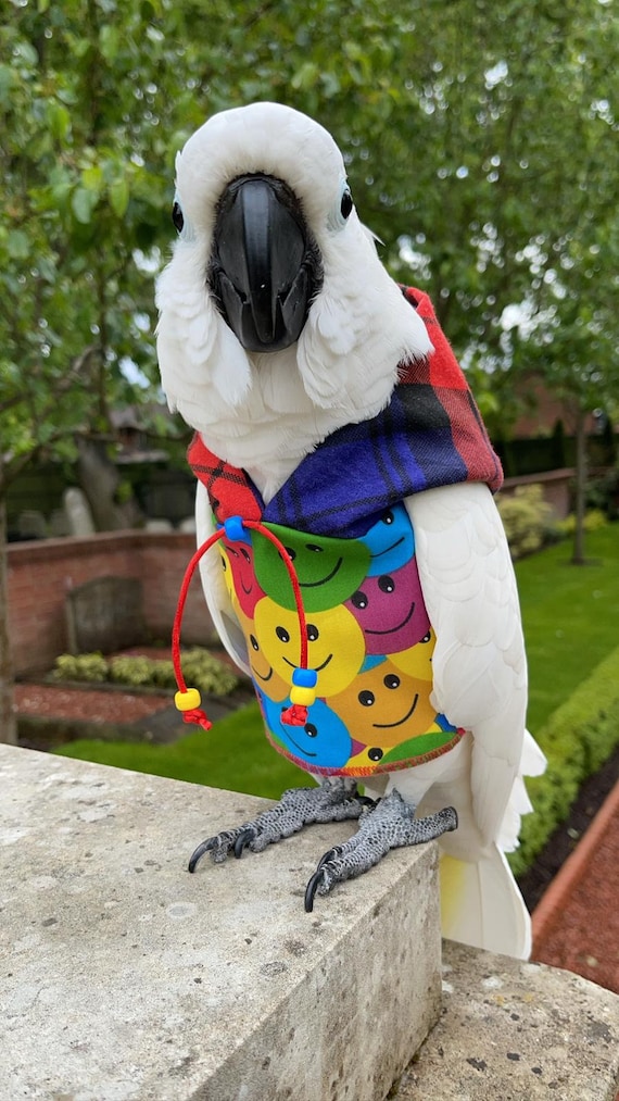 Pet bird parrot 'HIGHLAND SMILE' hoodie - all sizes available - petite to large