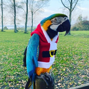 ULTECHNOVO Sudadera con capucha de loro Capa de pájaro para mascotas Ropa cálida para mascotas Ropa de vuelo