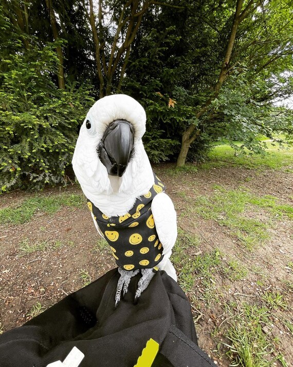Pet bird parrot 'A SMILE A DAY' hoodie - all sizes available - petite to large