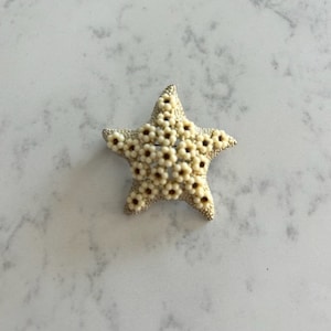 HAR rhinestone Starfish Rare