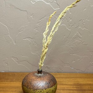 May include: A round ceramic vase with a narrow neck, featuring a two-tone glaze with a dark brown upper section and a speckled mustard yellow lower section. Two dried stalks of tall, thin, light tan grass are placed inside the vase opening.