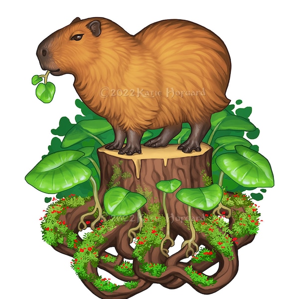 Capybara - Print