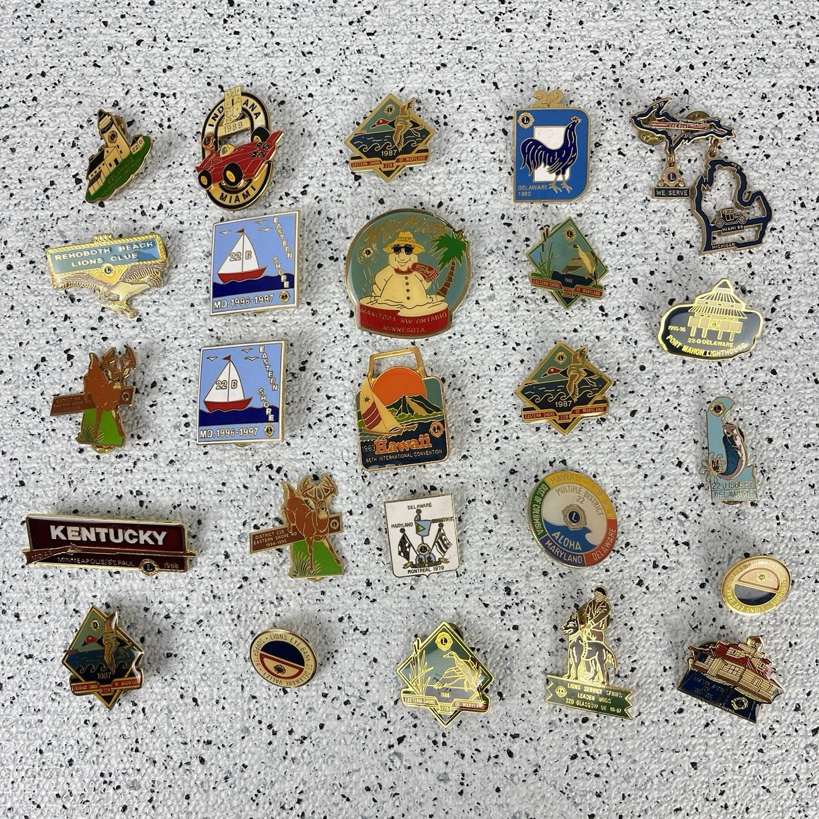 LC165 - BADGE INSIGNE LIONS CLUB DIST.44 PINARDVILLE 1984-85