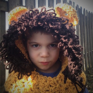 Lion Hood Hat Halloween Costume image 1