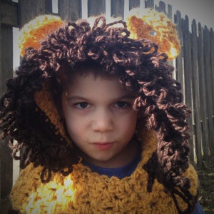 Lion Hood Hat Halloween Costume