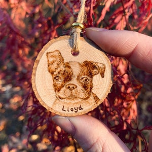 Mini Ornament - Woodburned Pet
