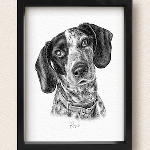 Custom Charcoal Pet Portrait, Pet Memorial Gift, Dog Drawing