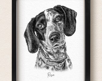 Custom Charcoal Pet Portrait, Pet Memorial Gift, Dog Drawing