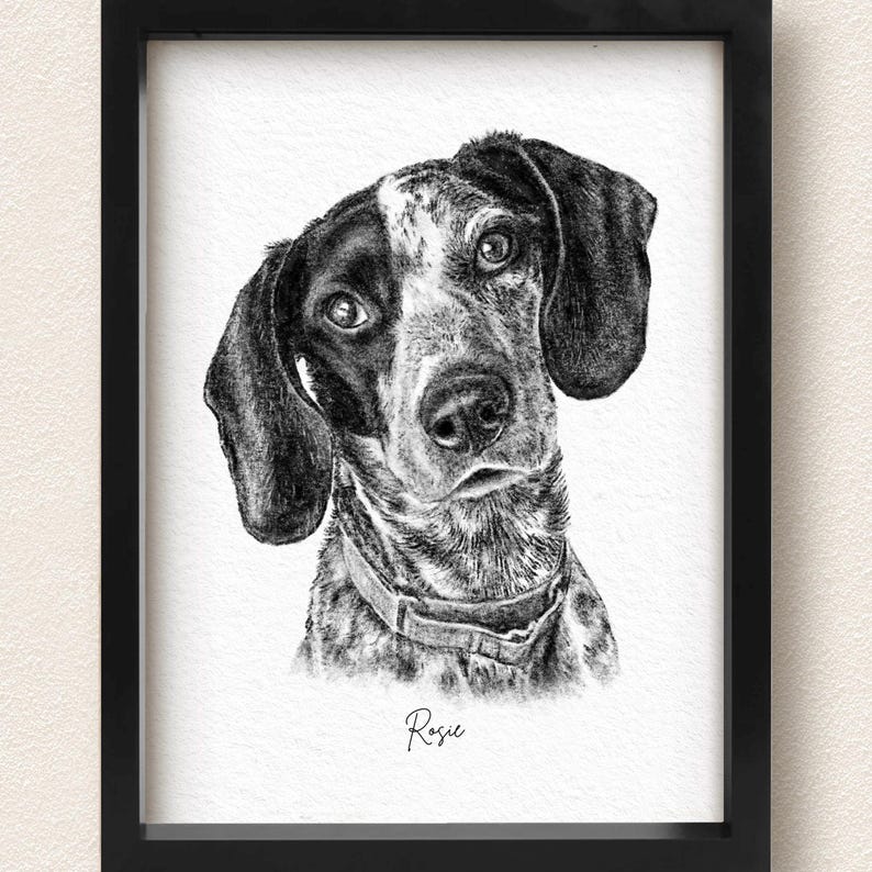 Custom Charcoal Pet Portrait, Pet Memorial Gift, Dog Drawing image 1