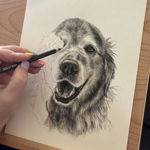 May include: A pencil sketch of a Golden Retriever dog being drawn. The image shows a hand holding a pencil, adding detail to the dog's fur on a cream-coloured paper. The dog's face is partially complete, revealing an open mouth and a joyful expression.