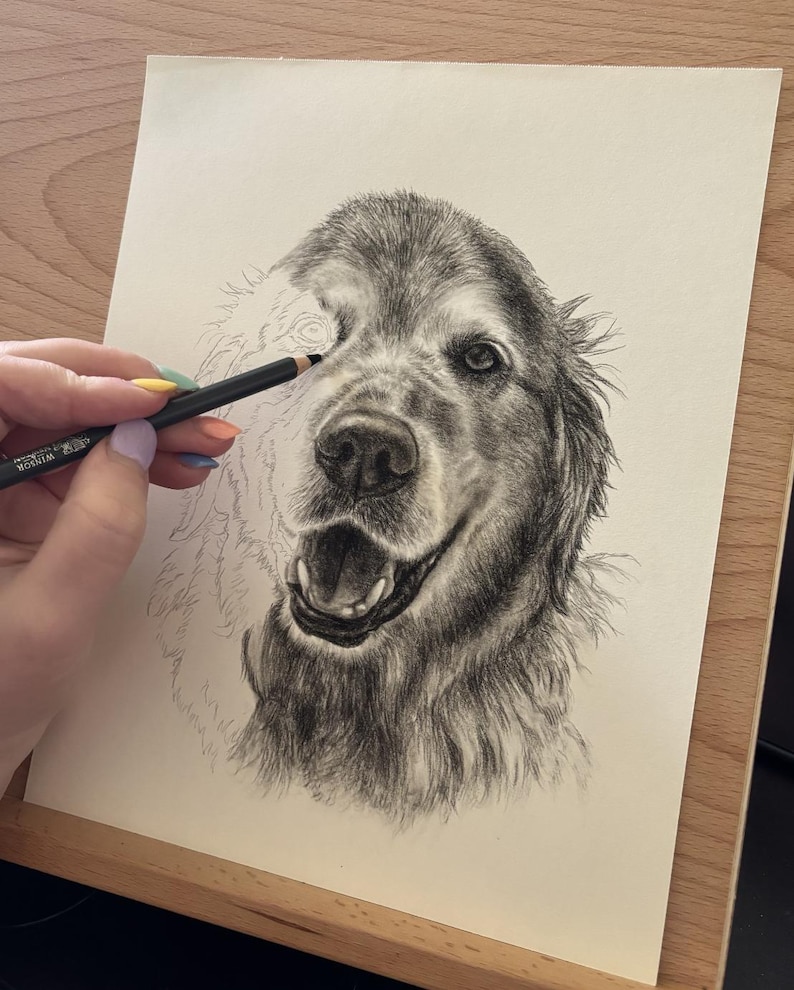 May include: A pencil sketch of a Golden Retriever dog being drawn. The image shows a hand holding a pencil, adding detail to the dog's fur on a cream-coloured paper. The dog's face is partially complete, revealing an open mouth and a joyful expression.