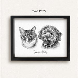 May include: A framed monochrome print with portraits of a cat and a dog. The cat has striped fur, and the dog wears a collar. The text "TWO PETS" is at the top, and "Guinness & Barley" is written below the portraits.