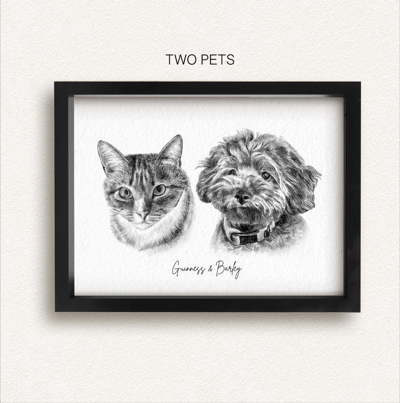 May include: A framed monochrome print with portraits of a cat and a dog. The cat has striped fur, and the dog wears a collar. The text "TWO PETS" is at the top, and "Guinness & Barley" is written below the portraits.