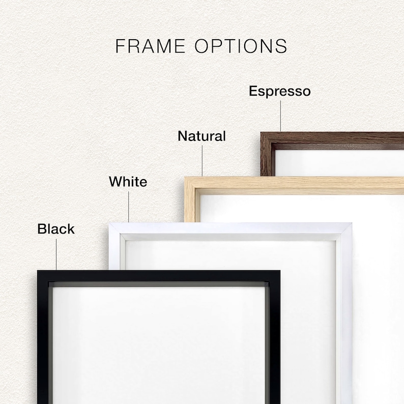 May include: Image displaying frame options in black, white, natural, and espresso. The text "FRAME OPTIONS" is at the top. Each frame colour is labelled, providing a clear visual comparison for customers.