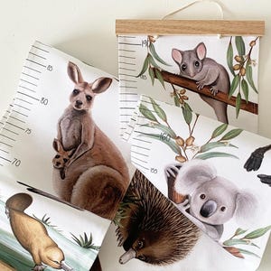Tabella di altezza / Tabella di crescita degli animali australiani