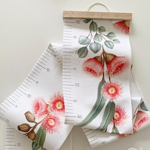 Flowering Gum Height Chart / Growth Chart