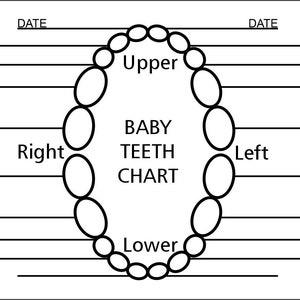 May include: A black and white chart for tracking baby teeth. The chart shows the location of the teeth in the mouth, with labels for "Upper", "Lower", "Right", and "Left". The chart also includes the text "BABY TEETH CHART".