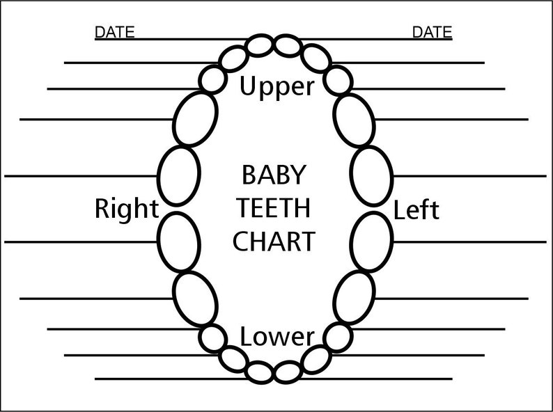 May include: A black and white chart for tracking baby teeth. The chart shows the location of the teeth in the mouth, with labels for "Upper", "Lower", "Right", and "Left". The chart also includes the text "BABY TEETH CHART".