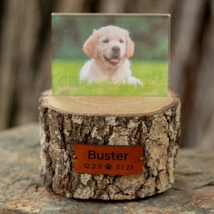 Pet Urn Photo Holder Cremation Urn Rustic Keepsake Urn Sharing Urn