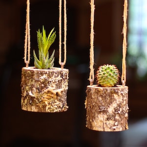 Hanging Planter Indoors Rustic Hanging Succulent Planter Log Planter Cactus Succulent Holder Hanging Plant Pots Gifts for Her Air Plant Gift
