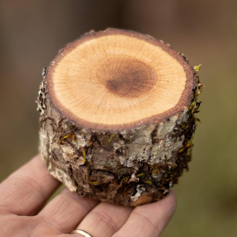 Mini Keepsake Urn log Sharing Urn Cremation Urn Rustic Mini Keepsake Urn Sharing Urn for Family Plain / NO Engraving