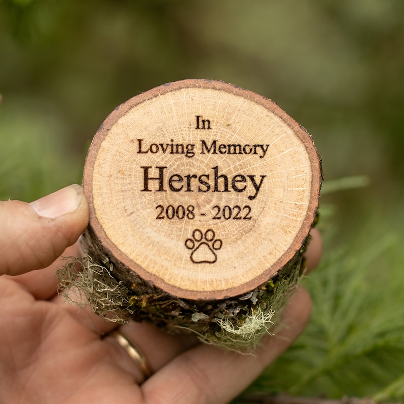 Pu&ograve; includere: Una targa commemorativa in legno con il testo "In Loving Memory Hershey 2008-2022" e un'impronta di zampa.