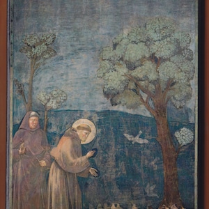 Giotto di Bondone (San Francesco d'Assisi predica agli uccelli 1297-99). SPEDIZIONE GRATUITA