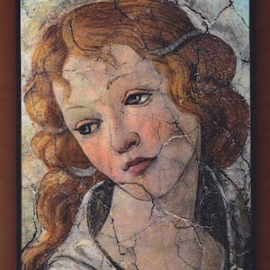 Sandro Botticelli, Venere e le tre grazie.FREE SHIPPING