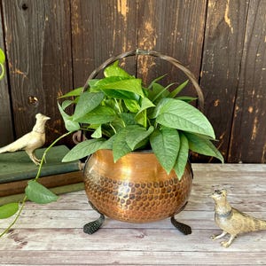 May include: A copper-colored, hammered metal planter with a handle, filled with green leafy plants. The planter sits on three black feet. Two decorative bird figurines and a stack of vintage books are also present.
