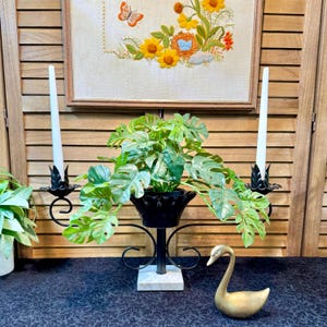 May include: A decorative display featuring a black metal plant stand with a marble base, holding a green leafy plant. Two black candle holders with white candles flank the plant. A gold swan figurine sits nearby, with a floral embroidery in the background.