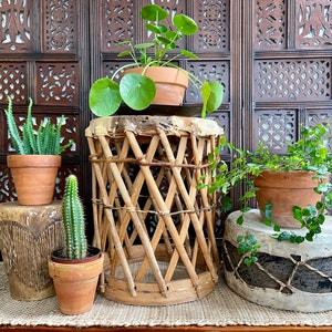 May include: Three potted plants, a cactus, a succulent, and a leafy plant, are arranged on a table with two woven baskets. The baskets are made of natural materials and have a rustic, earthy aesthetic. The plants are in terracotta pots and add a touch of greenery to the scene.