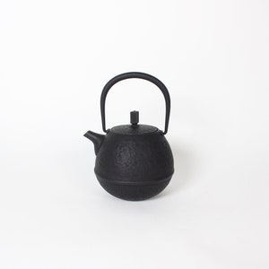 Japanese Nambu Tekki &quot;Egg&quot; Kyusu Tea Pot, Small