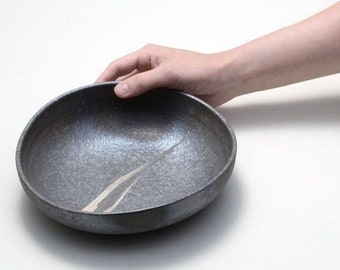 Japanese Shigaraki Ceramic Ryusei Bowl