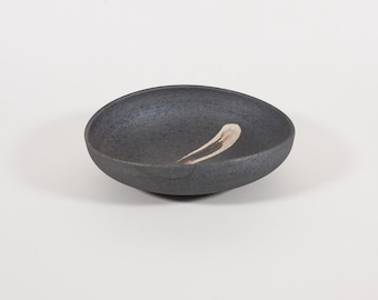 Japanese Shigaraki Ceramic Ryusei Bowl