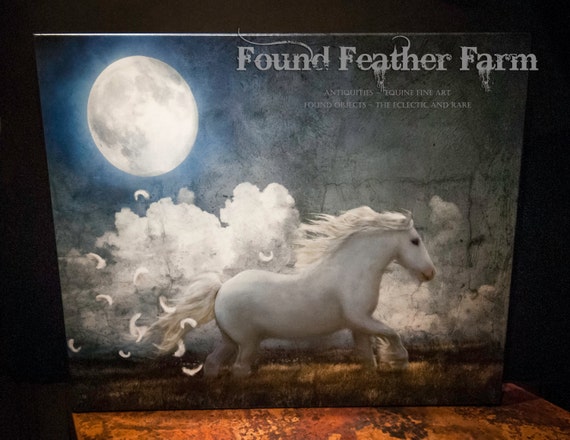 Museum Wrapped Canvas Giclee of a Digital Art Image Titled "White Feathered Moon"