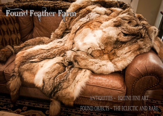 Stunning Genuine Full Size Natural Coyote Fur Throw with Six Coyote Tails and Lined in a Velveteen Fabric