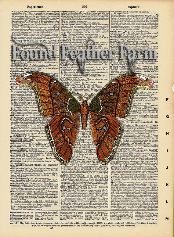 Vintage Antique Dictionary Page with Antique Print "Cecropia Moth"