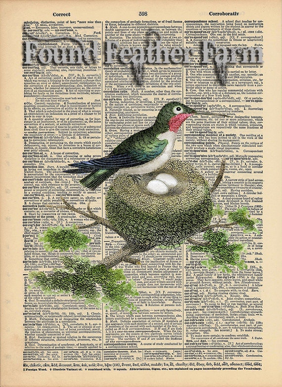 Vintage Antique Dictionary Page with Antique Print "Ruby Throated Hummingbird"