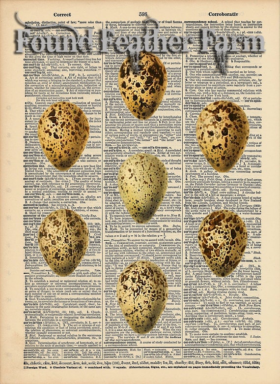 Vintage Antique Dictionary Page with Antique Print "Egg Collection"