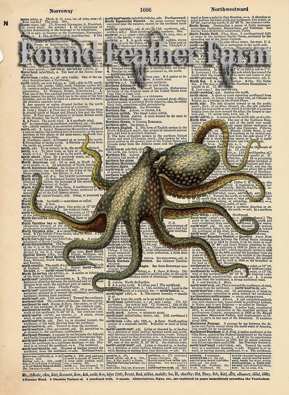Vintage Antique Dictionary Page with Antique Print "Octopus Verticle"