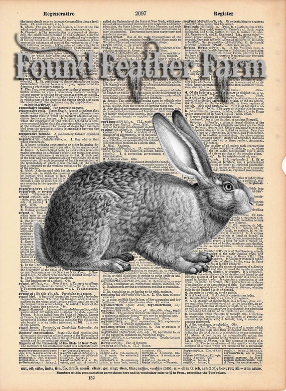 Vintage Antique Dictionary Page with Antique Print "Vintage Rabbit Etching"