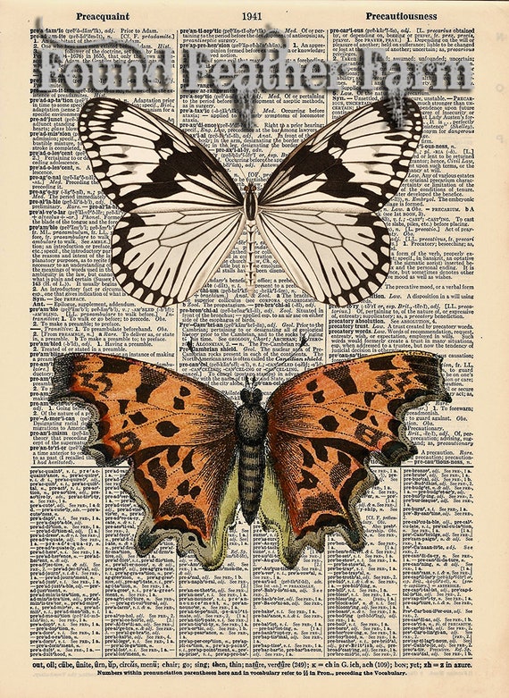 Vintage Antique Dictionary Page with Antique Print "Two Butterflies"