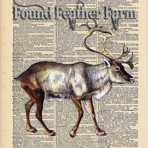 Vintage Antique Dictionary Page with Antique Print &quot;Caribou&quot;