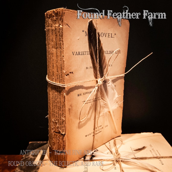 Vintage Deconstructed Circa 1838 Brown Parchment Book Pages Bound with Twine and Embellished With a Feather