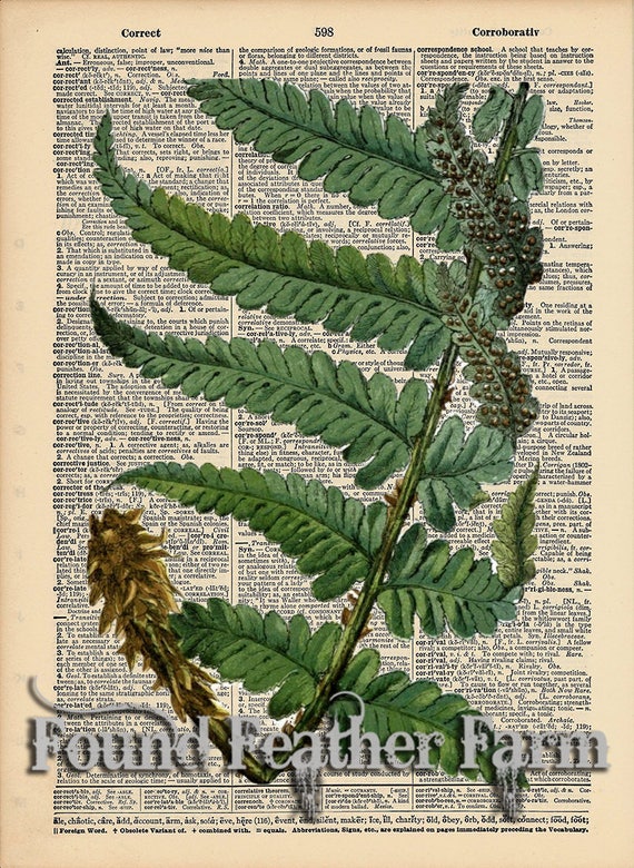 Vintage Antique Dictionary Page with Antique Print "Fern Leaf Two"