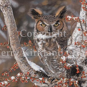 Fine Art Giclee Print &quot;Wisdom&quot; by Terry Kirkland Cook on Fine Art Paper or Canvas