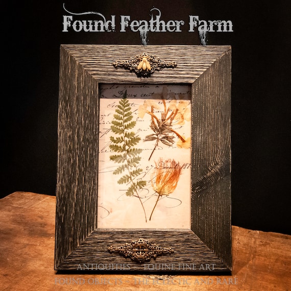 A Gorgeous Genuine Pressed Fern and Wild Flowers Framed Under Glass in a Dark Stained Barn Wood Frame