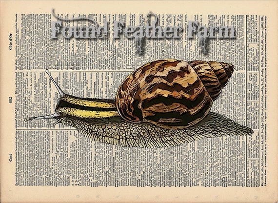 Vintage Antique Dictionary Page with Antique Print "Snail"