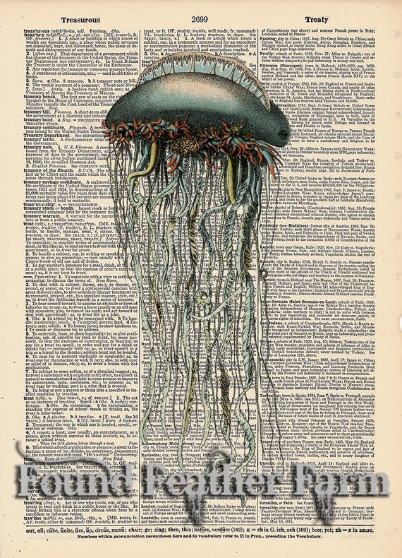 Vintage Antique Dictionary Page with Antique Print "Jellyfish"