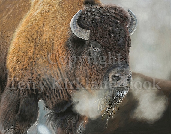 Thunder Beast ~ Copyrighted Fine Art Giclee Print by Terry Kirkland Cook